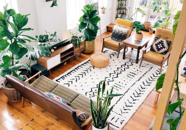 skandináv szobanövény trend