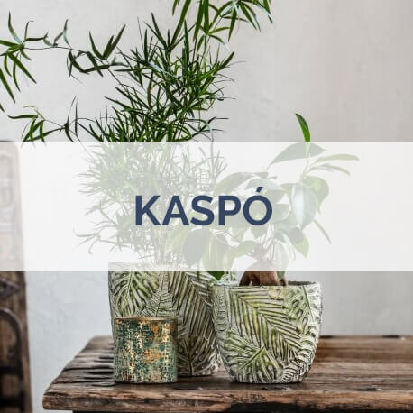 Kaspó