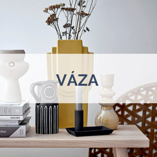 Váza