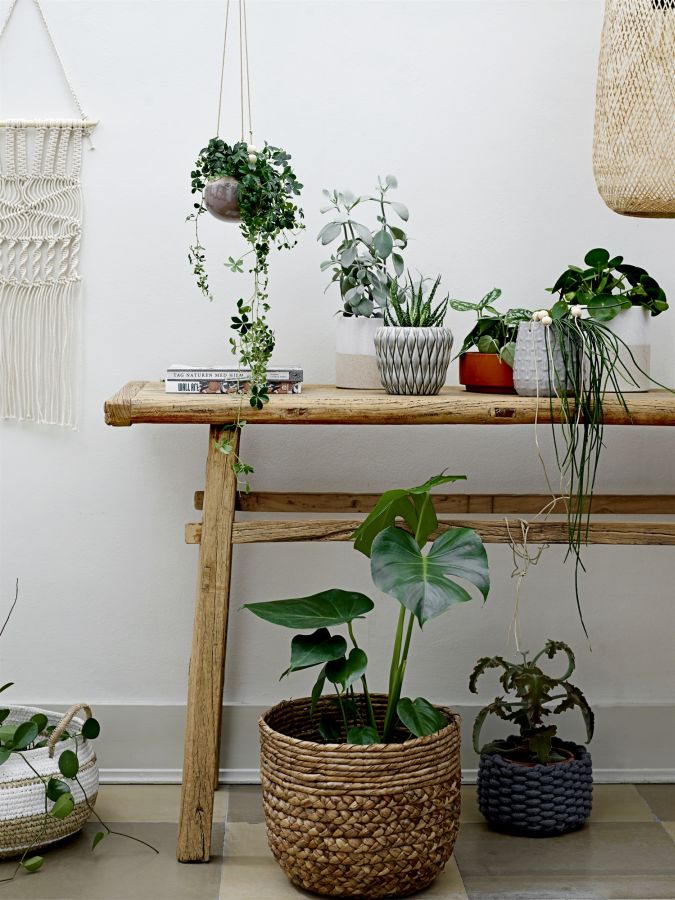 virágtartó állvány szobanövények integrálása a lakberendezésben