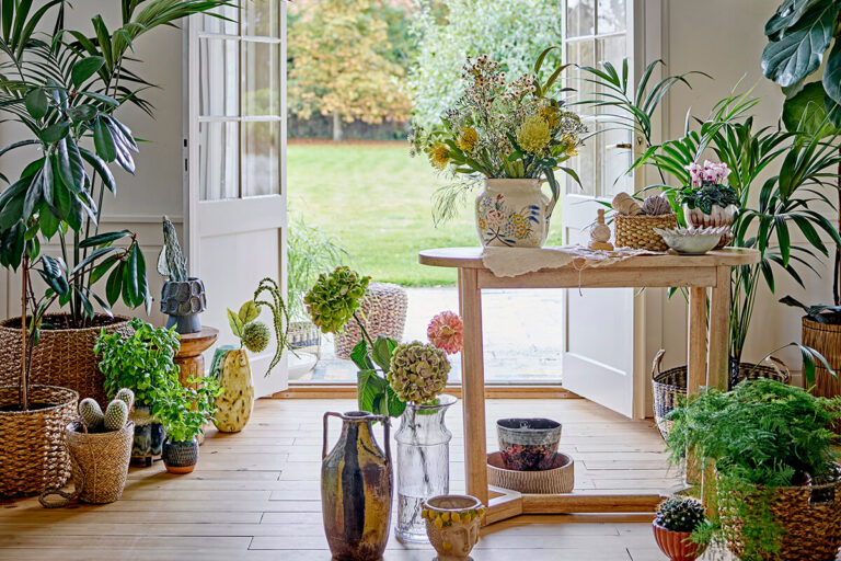 A biophilic design: természetközeli otthon, ami nyugalmat és harmóniát teremt