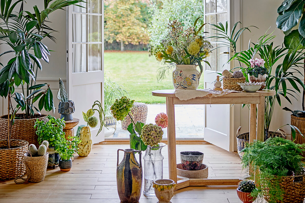 A biophilic design: természetközeli otthon, ami nyugalmat és harmóniát teremt